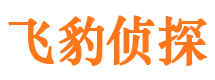 文山市侦探公司